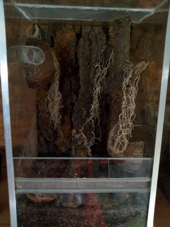 25x25x40 - Venezuela